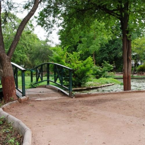 People enjoying a morning walk and jogging track at Central Park Jaipur